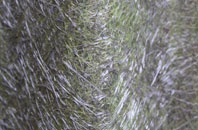 Cross Lane Head fibreglass roof work